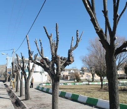 رقم عجیب و غریب درباره ارزش زباله تولیدشده در تهران