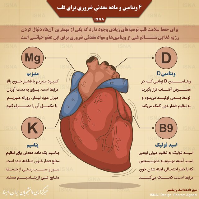 اینفوگرافیک / ۴ ویتامین و ماده معدنی ضروری برای قلب