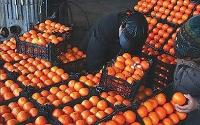 از دست رفتن توان خرید میوه شب عید