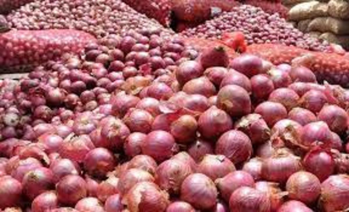 ماجرای عجیب گرانی پیاز؛ پیاز گران‌تر می‌شود؟
