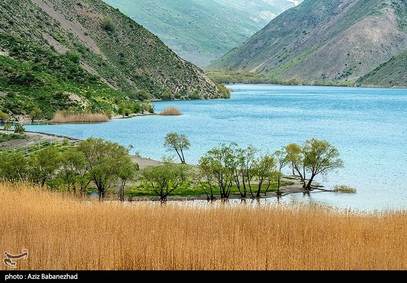 مرغان دریایی و گردشگران در ونیز +فیلم