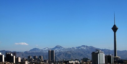 دیده شدن راسو در تهران +فیلم