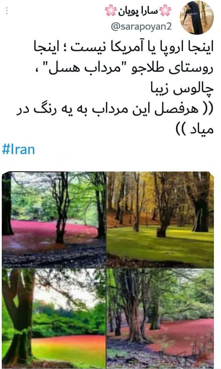 هرفصل این مرداب به یه رنگ در میاد