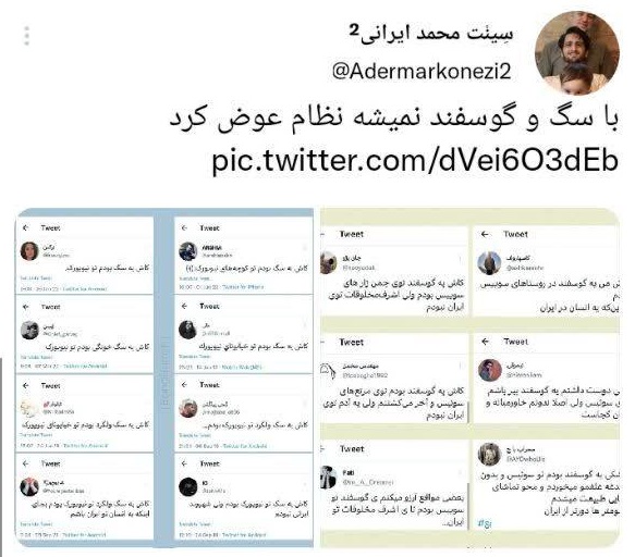 با سگ و گوسفند نمیشه نظام عوض کرد