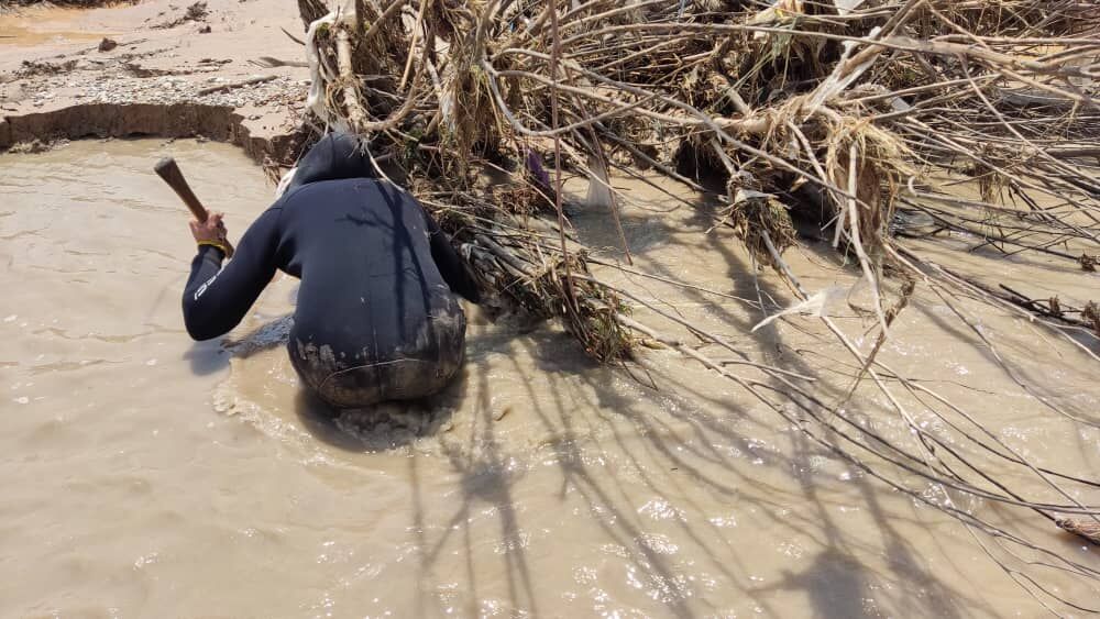 تصویری که شبیه عکس «آلان» نشد