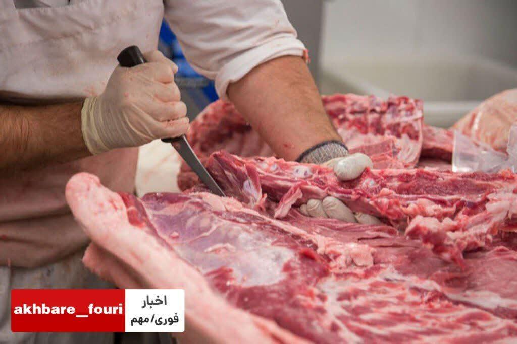 گزارش فروش گوشت اسب و الاغ