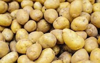 عرضه سیب زمینی به روش حواله‌ای در میادین