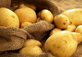 مجوز کنترل بازار سیب‌زمینی را از سران سه قوه گرفتیم