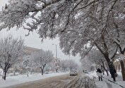 بارش برف و باران در راه است/هوا سردتر می شود