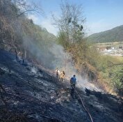 آتش در جنگل آمل خاموش شد