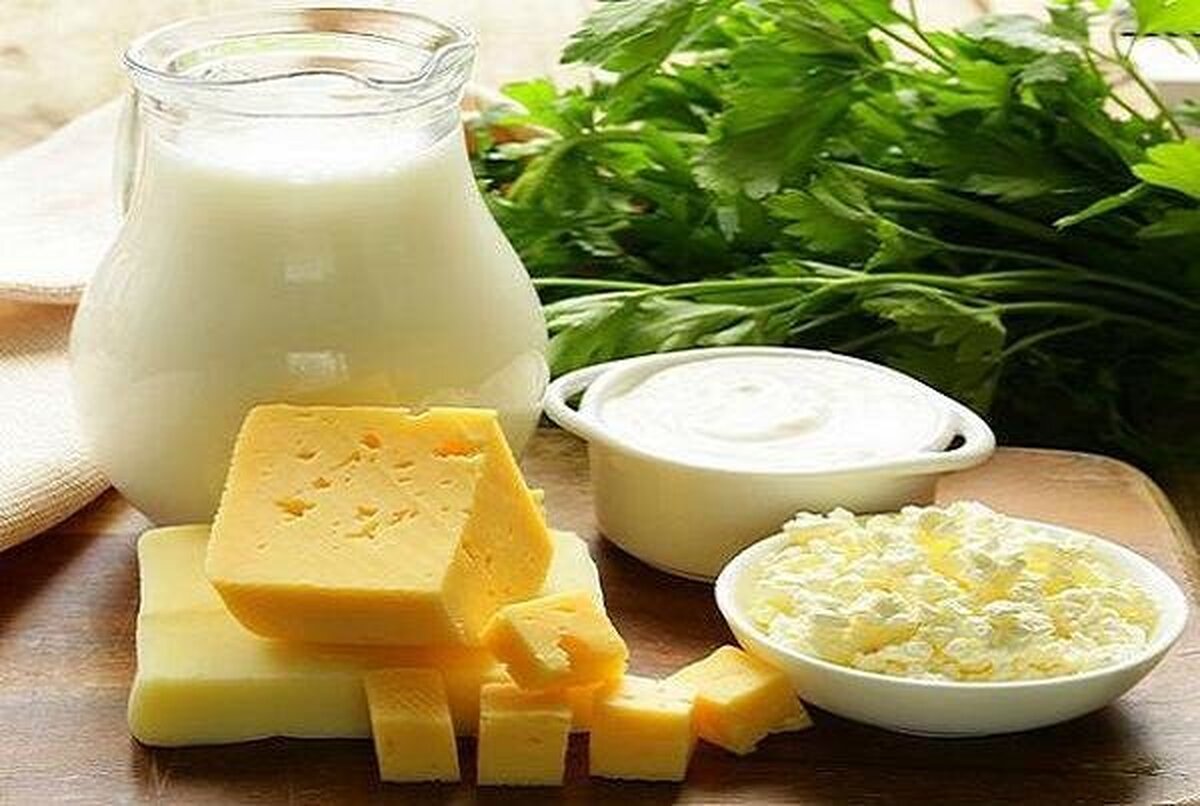 نقش پروبیوتیک‌ها در کاهش اضطراب چیست؟