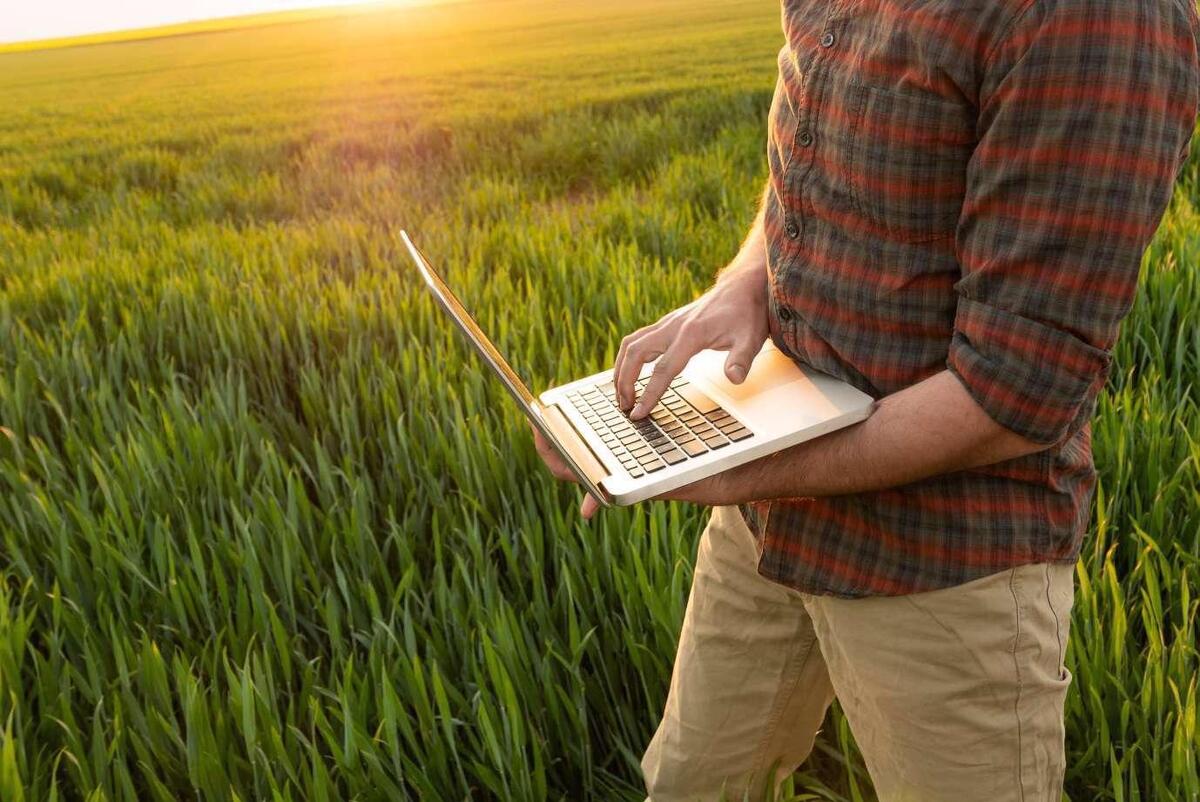 فراخوان جدید برای پژوهشگران پسادکتری کشاورزی و منابع طبیعی