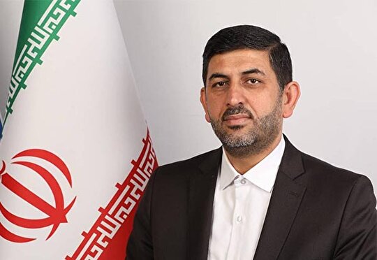 امیر: وضعیت آشفته بازار ارز نتیجه نفوذ در دولت است/بازار ارز بدون حد یقفی است