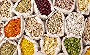 قیمت جدید انواع حبوبات