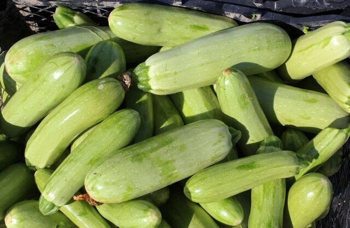 درمان نفخ با یک خوردنی کم‌کالری