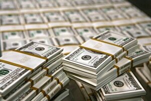 ارز ترجیحی؛ درمان اقتصاد ایران یا سود رانتخواران؟