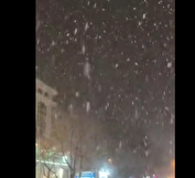 ببینید | بارش برف در تهران