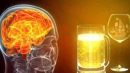 الکل چه بلایی سر مغز می‌آورد؟