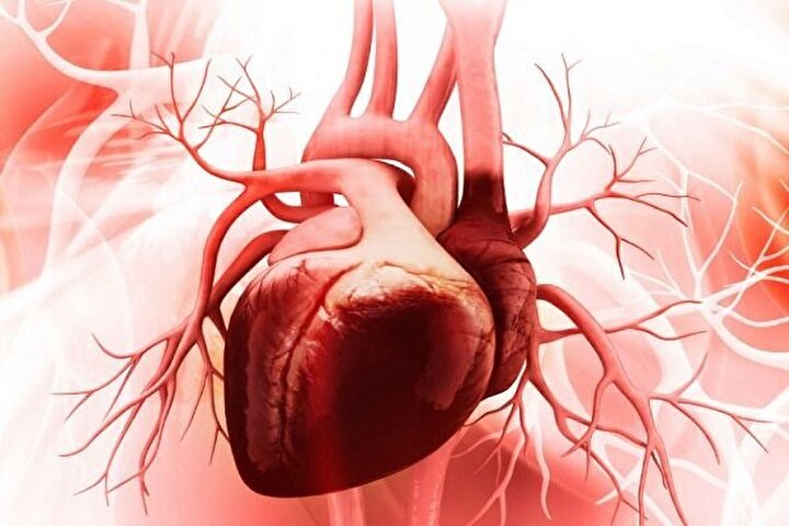 آغاز به‌کار دهمین کنگره مشترک قلب و عروق ایران با حضور ۲۰۰۰ متخصص