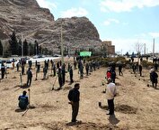 تهران آماده اجرای طرح یک میلیارد درخت