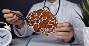 ۷ راه علمی برای تقویت عملکرد مغز و افزایش هوشیاری