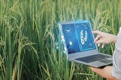 امنیت غذایی ایران در گرو فناوری و دانش‌بنیان‌ها