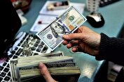 دولت برای ارائه ارز ارزان به کسانی که مستحق دریافت نبودند پاسخگو باشد