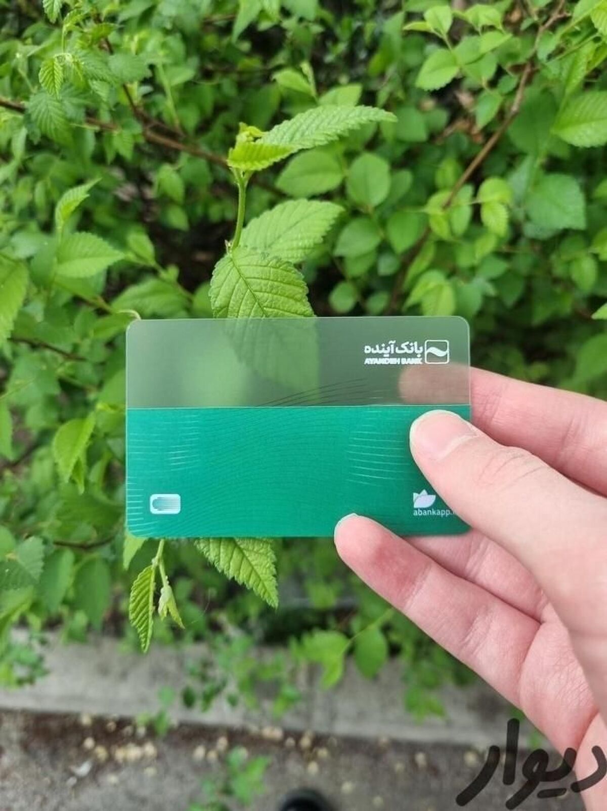 «آبانک» راه گریز بانک آینده از ورشکستگی نیست