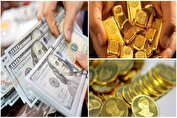 دلار دوباره به کانال ۸۰ هزار تومانی بازگشت/نوسان در بازار طلا و سکه ادامه دارد