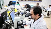 وزیر علوم: کشورهای همسایه برای جذب اساتید و پژوهشگران ایرانی تلاش می کنند