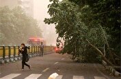 هشدار برای تهران؛ وزش باد شدید و فعالیت سامانه بارشی