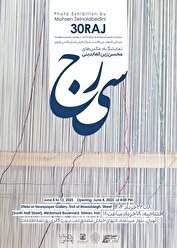تماشای فرش های حرم رضوی در نمایشگاه عکس «سی‌رج»
