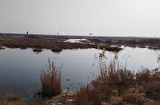 کم‌‌آبی، تهدید جدی برای کشاورزان جنوب‌شرق تهران/وزارت نیرو اقدام کند
