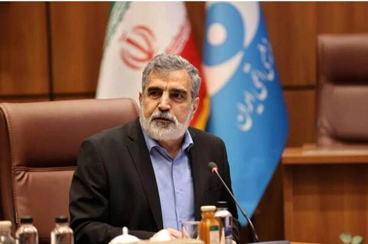 سخنگوی سازمان انرژی اتمی: فهرست اقدامات تقابلی ایران آماده شده است