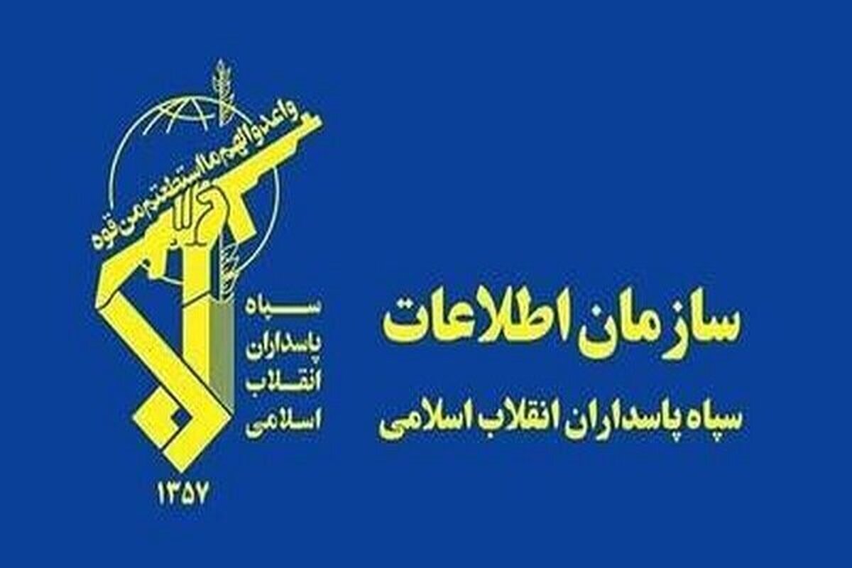 شبکه سازمانیافته فساد در حوزه خرید تضمینی گندم متلاشی شد