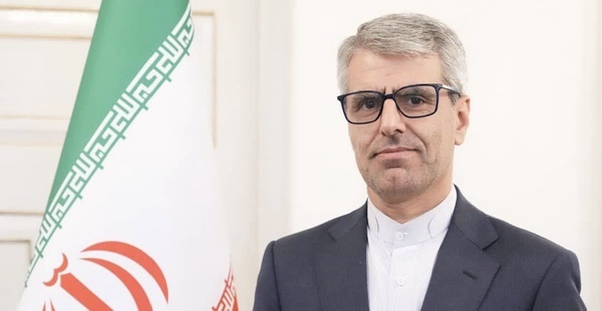 بقائی: مصمم به صیانت از حقوق و منافع عالیه ملت ایران هستیم