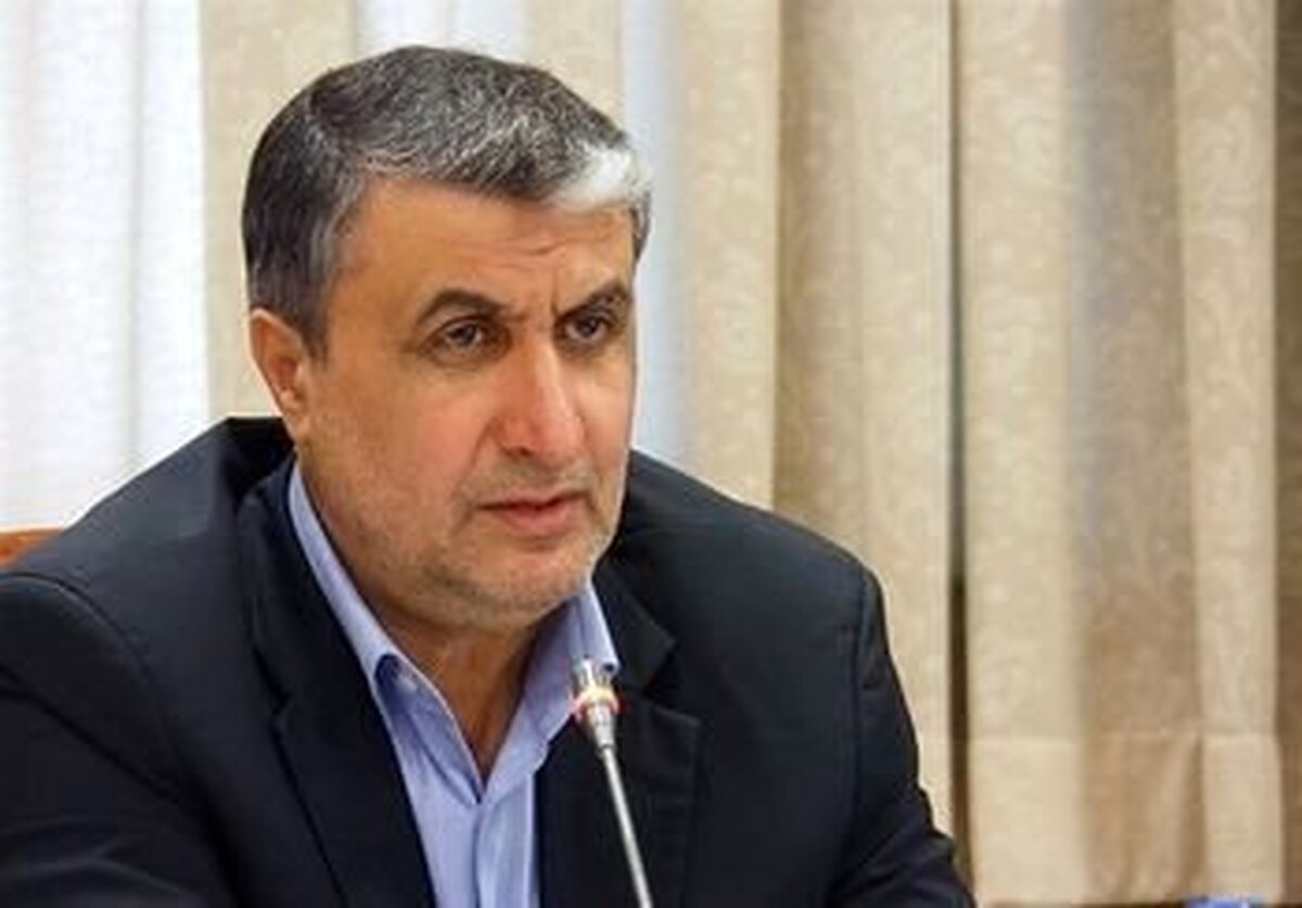 اسلامی: ساخت راکتور بومی با سوخت ایرانی در دستور کار است