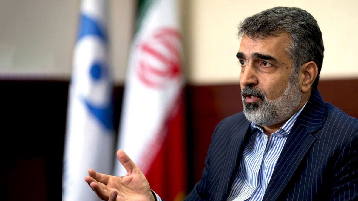 کمالوندی: خسارات عمدتاً به سطح تأسیسات هسته‌ای محدود بوده است