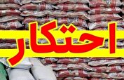 ۶۵ تن برنج احتکاری در خواف کشف شد