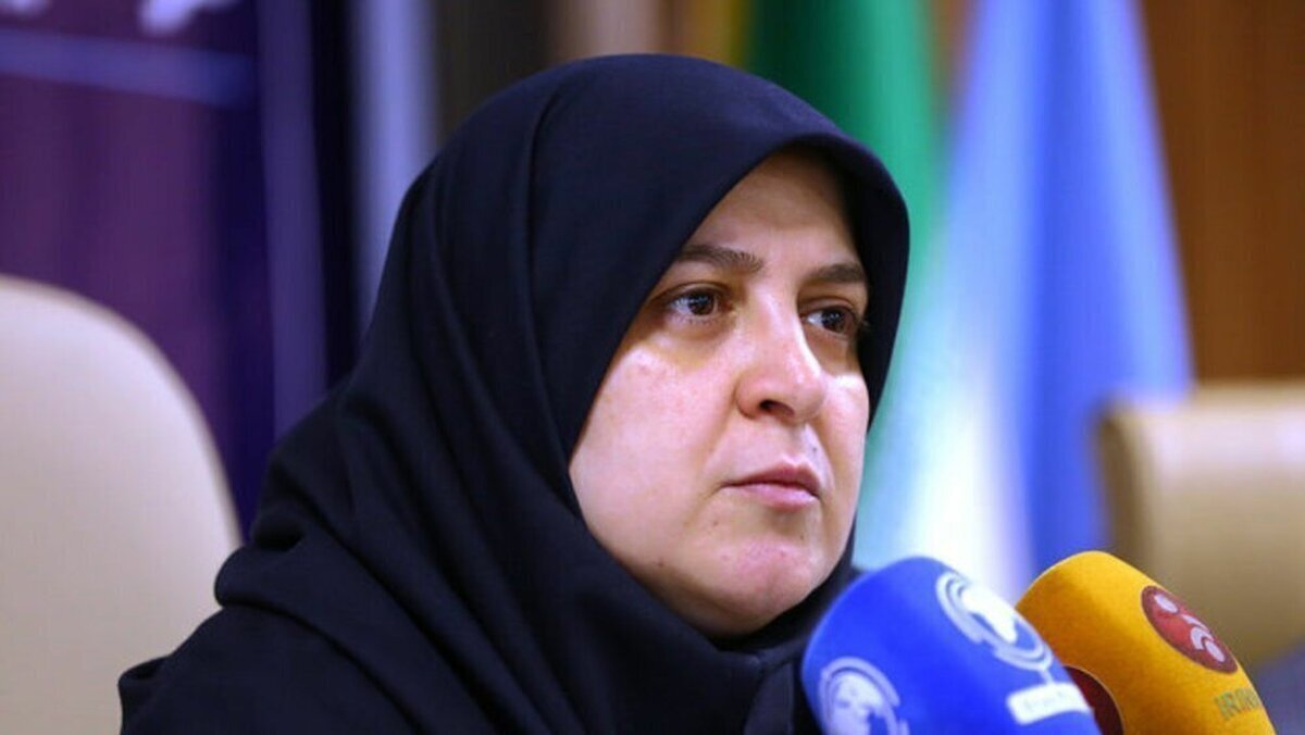مهاجرانی: رفع ناترازی‌ها یک شبه حاصل نمی‌شود
