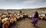 آمادگی کامل برای خدمات‌رسانی بی‌وقفه به عشایر کشور