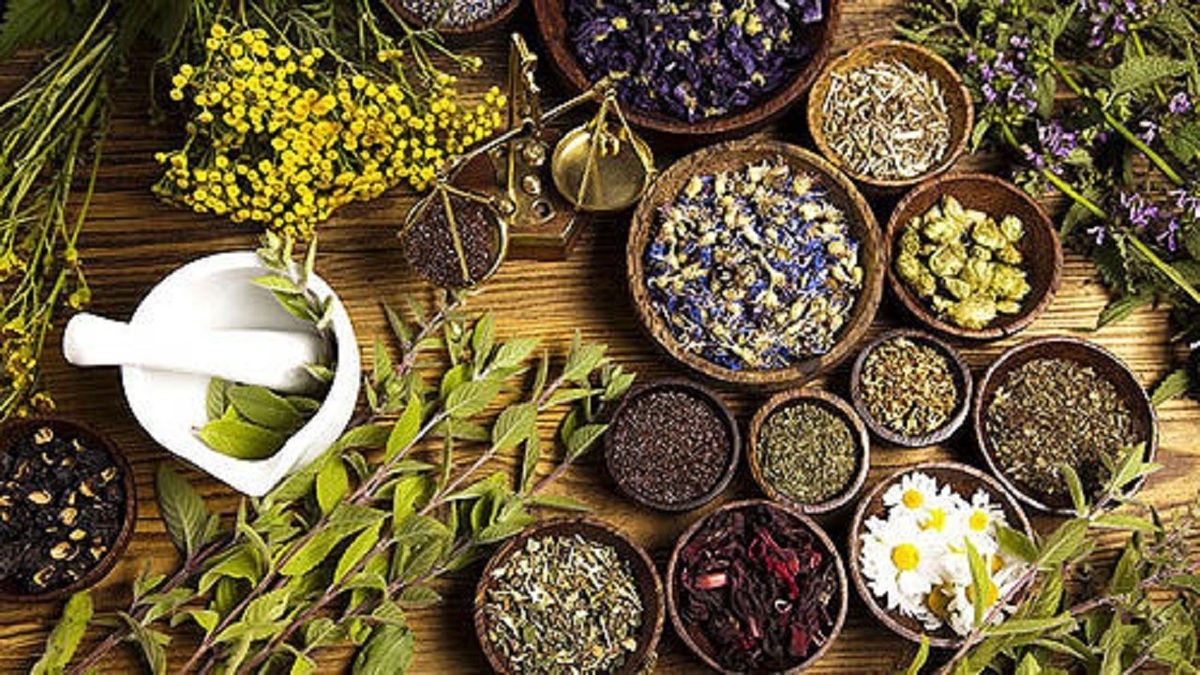 جاذبه بازار ۱۵ میلیاردی گیاهان دارویی ایران در افق ۱۴۰۴