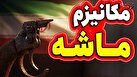 تقسیم کار جبهه غرب برای اعمال فشار بر تهران/ از مکانیسم ماشه تا اختلاف و شایعه پراکنی در روابط با روسیه