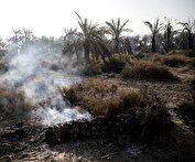 آتش‌سوزی در اروندکنار؛ ۲۰ هزار نهال خرما از بین رفت