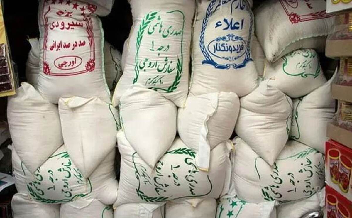 وزیر جهاد کشاورزی: نرخ برنج ایرانی به تعادل می‌رسد