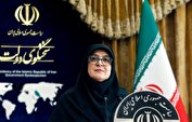 سخنگوی دولت: وضعیت پروازها از امروز به تدریج عادی می‌شود/ عادی شدن وضعیت اینترنت