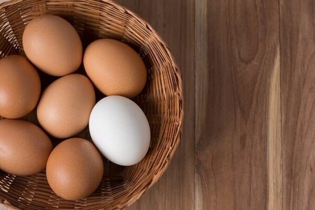 آیا مصرف زرده تخم مرغ برای کهنسالان مضر است؟