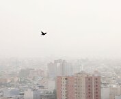 گرد و خاک در البرز ادامه دارد