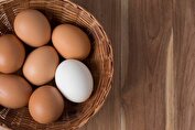آیا مصرف زرده تخم مرغ برای کهنسالان مضر است؟