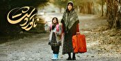 زمان اکران «کوسه»، «ناتور دشت» و «ناجورها» اعلام شد
